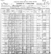 1900 Census, Morris Township, Texas County, Missouri